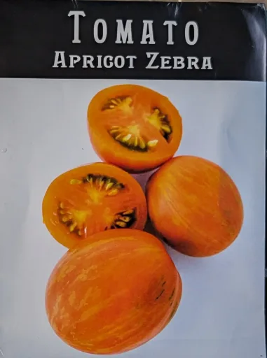 Apricot Zebra Cherry Tomato Seedling