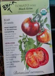 Black Krim Beefsteak Tomato Seedling