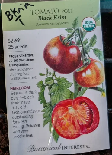 Black Krim Beefsteak Tomato Seedling